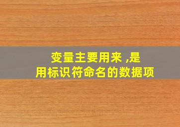 变量主要用来 ,是用标识符命名的数据项